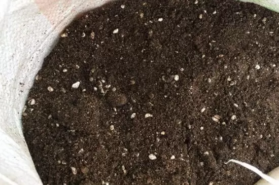 栽花花盆底下需要垫什么 栽花花盆底下需要垫什么