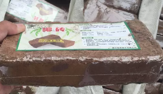 椰砖土是酸性还是碱性 椰砖土是酸性还是碱性