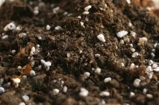 栽花花盆底下需要垫什么 栽花花盆底下需要垫什么