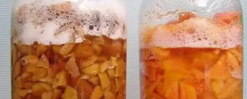 橘子皮泡水浇花能杀虫吗 橘子皮泡水浇花能杀虫吗
