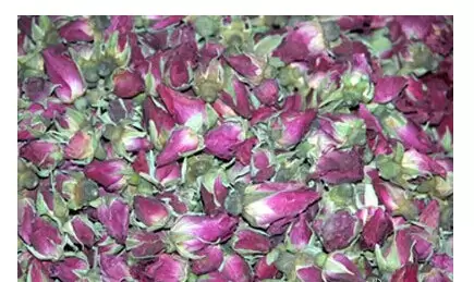 月季花的功效和作用 月季花的功效和作用