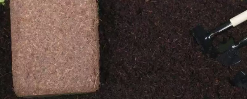 椰砖土是酸性还是碱性 椰砖土是酸性还是碱性