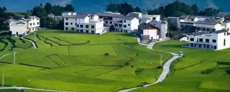 新三农指哪三农,即新农民、新农业和新农村 新三农指哪三农,即新农民、新农业和新农村