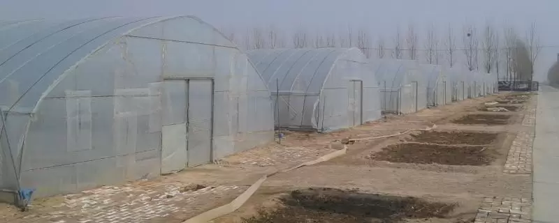 无土栽培蔬菜的成本,搭建毛竹大棚每亩只需5000-6000元左右 无土栽培蔬菜的成本,搭建毛竹大棚每亩只需5000-6000元左右