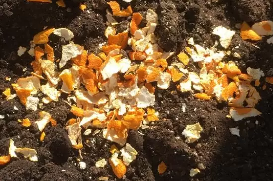 橘子皮泡水浇花能杀虫吗 橘子皮泡水浇花能杀虫吗