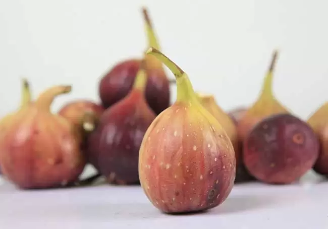 无花果的药用价值 无花果的药用价值