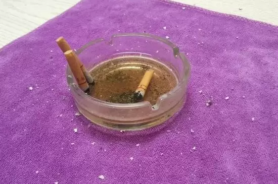花叶上的小白虫怎么办 花叶上的小白虫怎么办