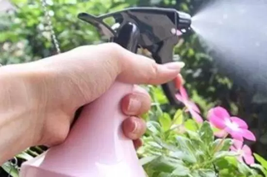 花上的腻虫怎么清除 花上的腻虫怎么清除
