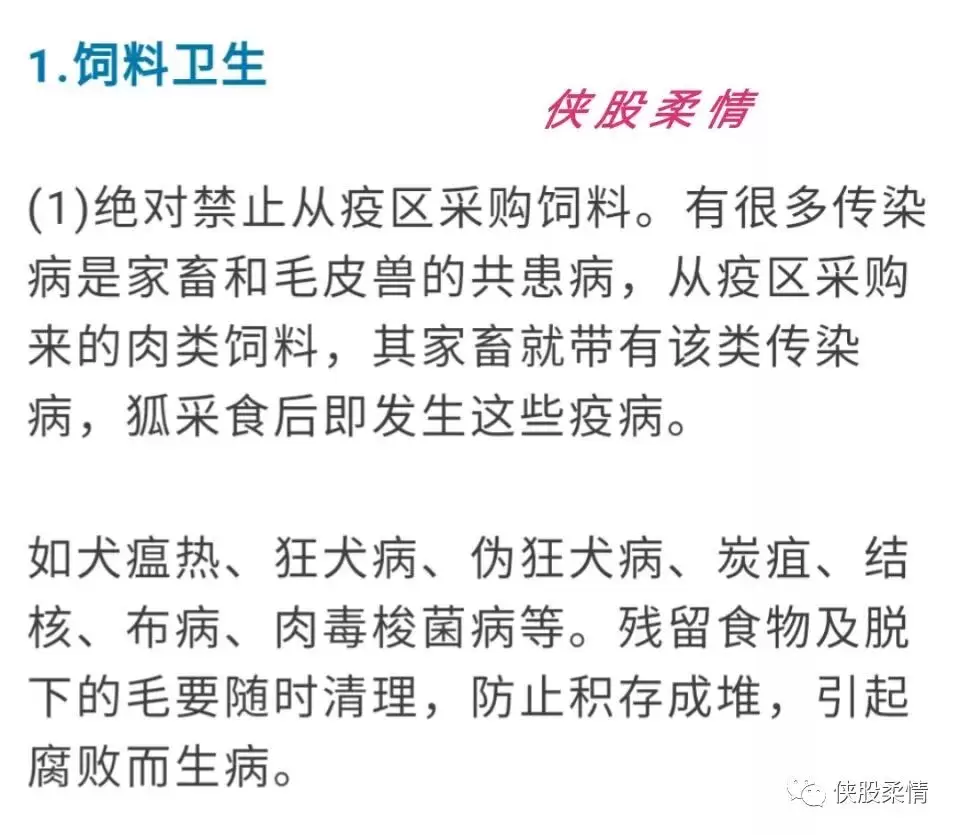 狐狸养殖日常注意事项插图 狐狸养殖日常注意事项插图