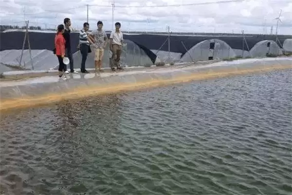 网箱养殖龙虾放养前的准备 网箱养殖龙虾放养前的准备
