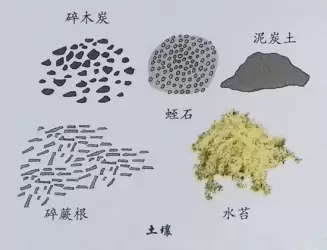 花卉生长条件：五方面,每方面都很重要