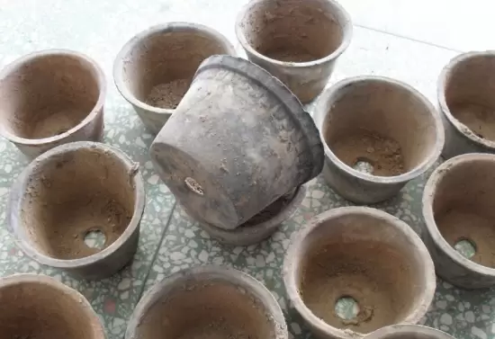 瓦盆的优、缺点分析 瓦盆的优、缺点分析