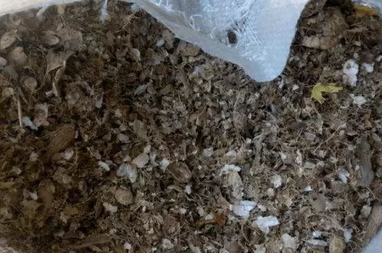 花生壳直接拌土养花可以吗 花生壳直接拌土养花可以吗