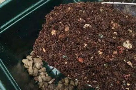 花生壳直接拌土养花可以吗 花生壳直接拌土养花可以吗
