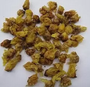 腊梅花的功效与价值 腊梅花的功效与价值