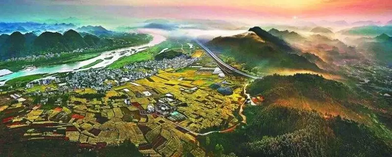 特色农业有哪些项目,哪些项目收益高 特色农业有哪些项目,哪些项目收益高