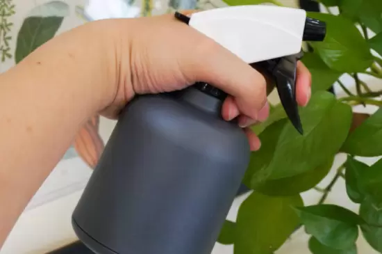 烟灰水可以浇花吗 烟灰水可以浇花吗
