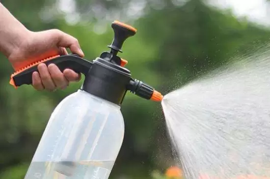 淘米水可以直接浇花吗? 淘米水可以直接浇花吗?