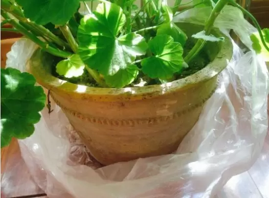 瓦盆的优、缺点分析 瓦盆的优、缺点分析