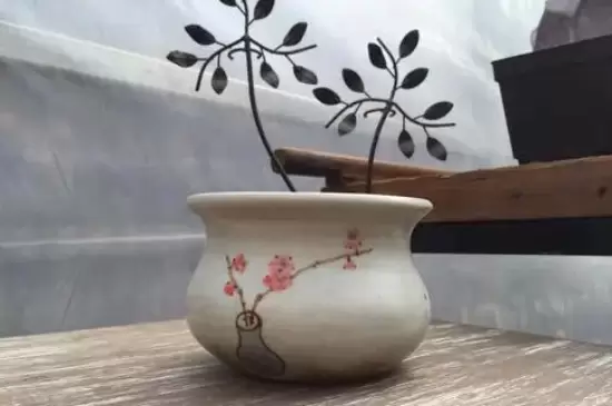 花盆的种类 花盆的种类