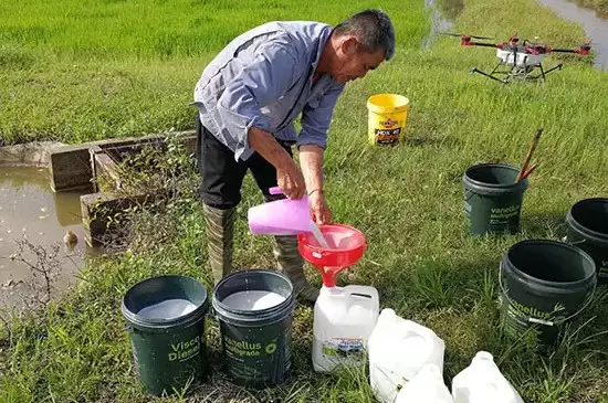 治理蚜虫最简单的方法 治理蚜虫最简单的方法