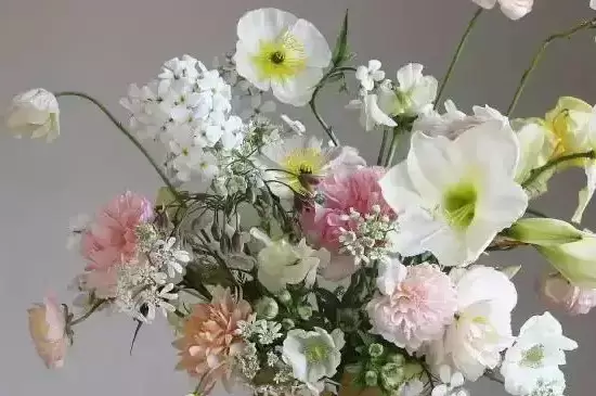 花一般高出花瓶多少 花一般高出花瓶多少