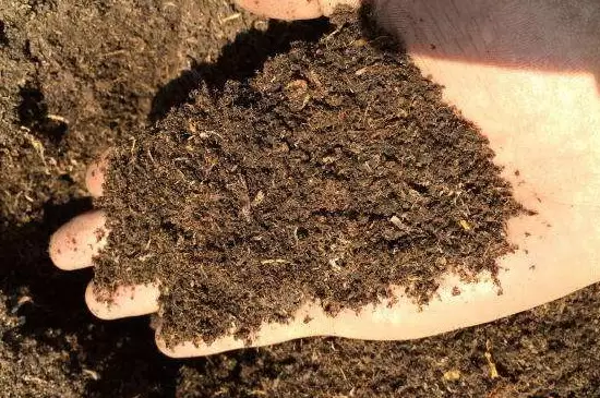 泥炭土的自制方法 泥炭土的自制方法