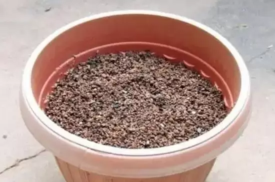 煤渣能直接拌土养花吗 煤渣能直接拌土养花吗