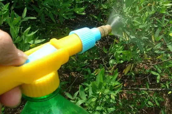花上的腻虫怎么清除 花上的腻虫怎么清除