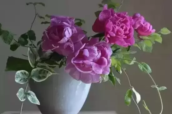 花一般高出花瓶多少 花一般高出花瓶多少