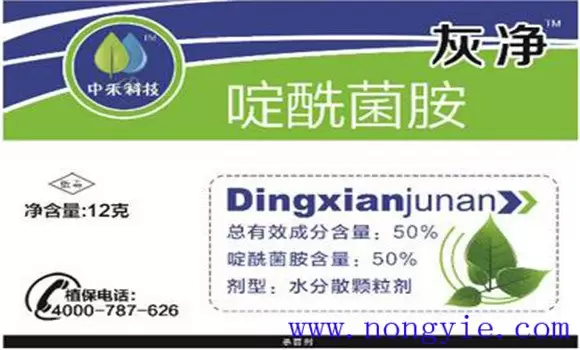 黄瓜灰霉病用什么药治疗 黄瓜灰霉病用什么药治疗