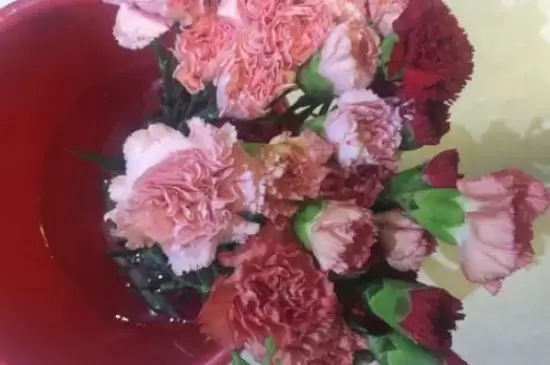鲜花醒花怎么处理 鲜花醒花怎么处理