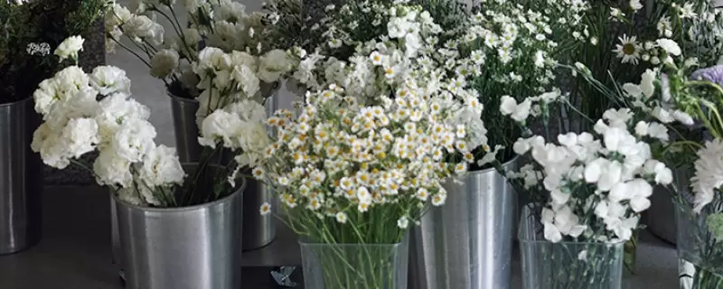 鲜花买回来后如何醒花 鲜花买回来后如何醒花