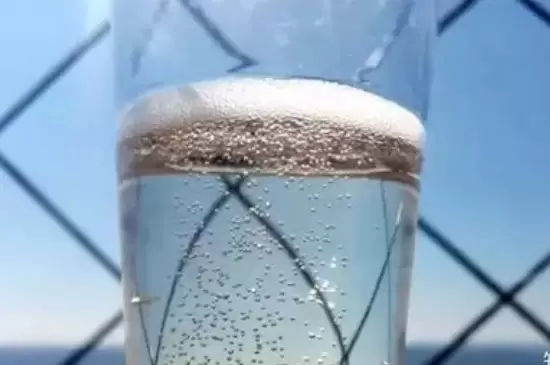 雪碧能浇哪几种花 雪碧能浇哪几种花