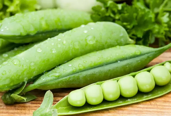 豌豆的营养价值与功效 豌豆的营养价值与功效