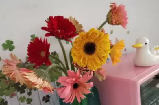 鲜花醒花怎么处理 鲜花醒花怎么处理