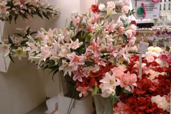 鲜花怎么养时间比较久 鲜花怎么养时间比较久