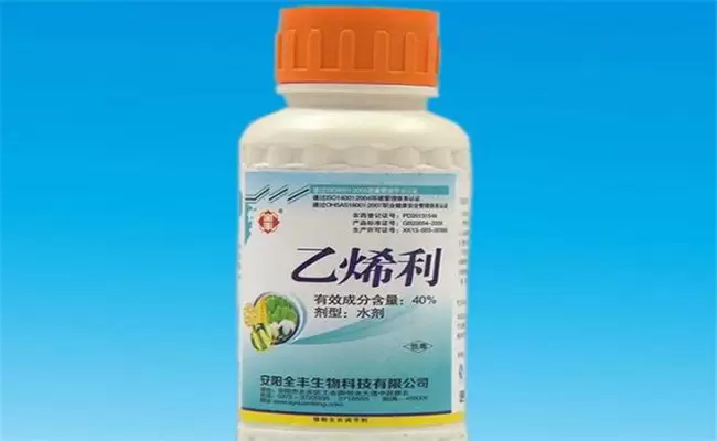 黄瓜为什么要喷乙烯利 黄瓜为什么要喷乙烯利