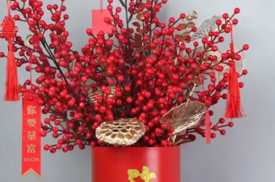 银柳花期多久 银柳花期多久
