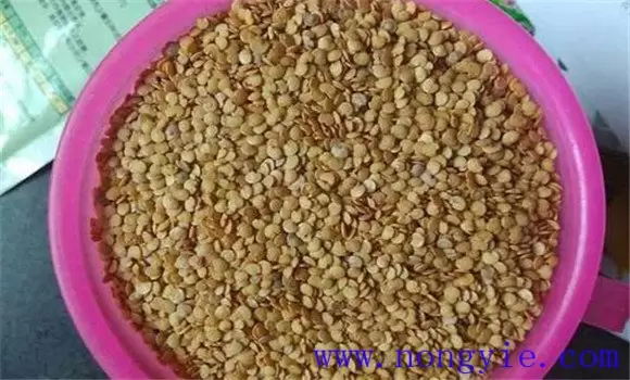 茄子育苗需要多少天 茄子育苗需要多少天