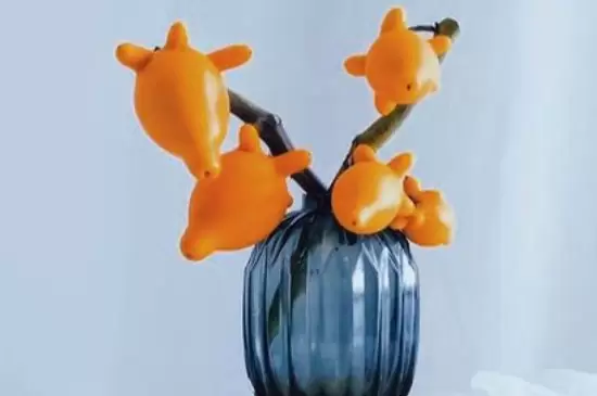 黄金果插花瓶需要水吗 黄金果插花瓶需要水吗