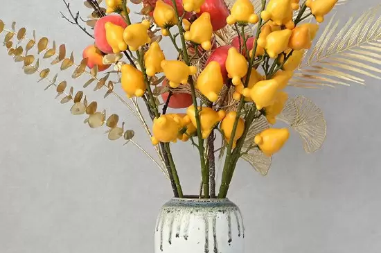 黄金果插花瓶需要水吗 黄金果插花瓶需要水吗