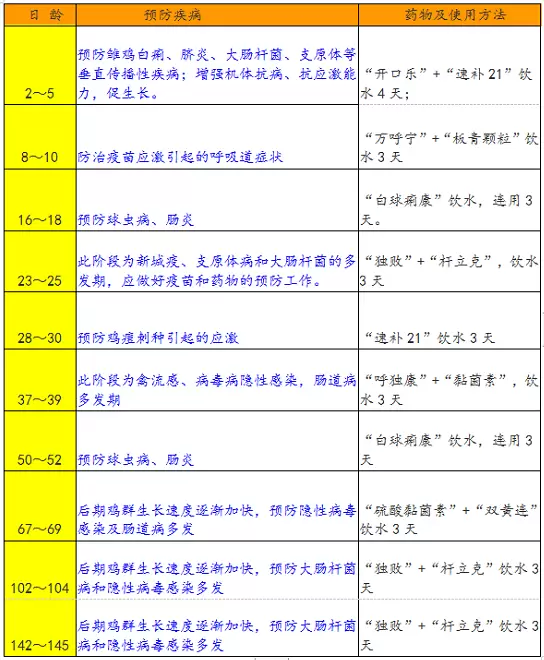 鸡群吃南瓜的好处插图1 鸡群吃南瓜的好处插图1