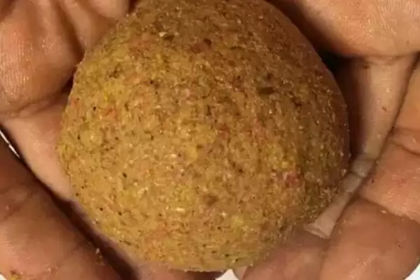 图片[5]-钓大鱼适合饵料(钓大鱼用什么饵料比较好)-会东网