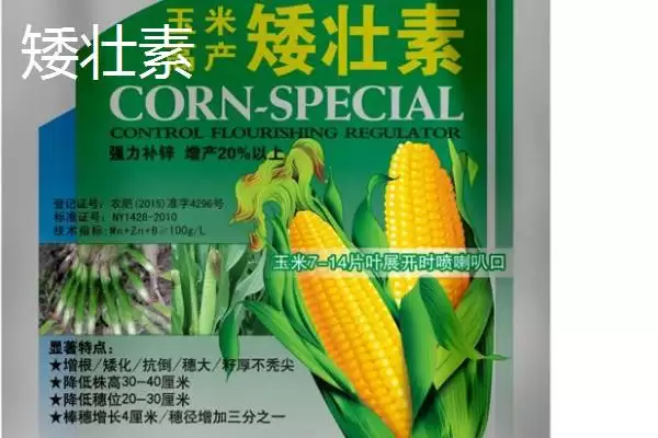 图片[2]-矮壮素和多效唑区别大揭秘，应用范围和施用方法不同之处-会东网
