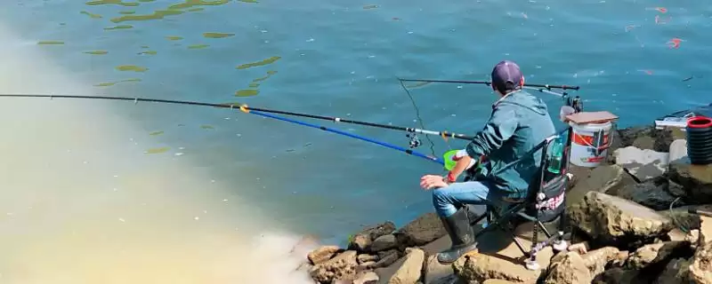 2号子线配5-6号伊势尼钩为佳的原因(2号子线配5-6号伊势尼钩为佳的原因有哪些)-会东网