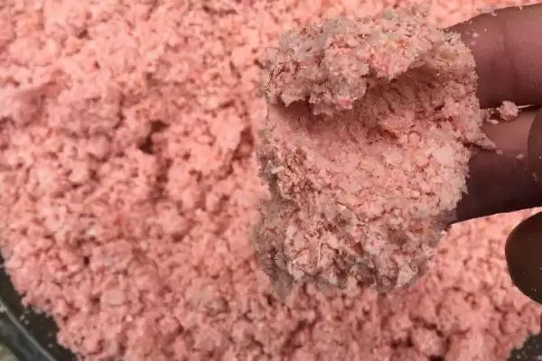 图片[10]-钓大鱼适合饵料(钓大鱼用什么饵料比较好)-会东网