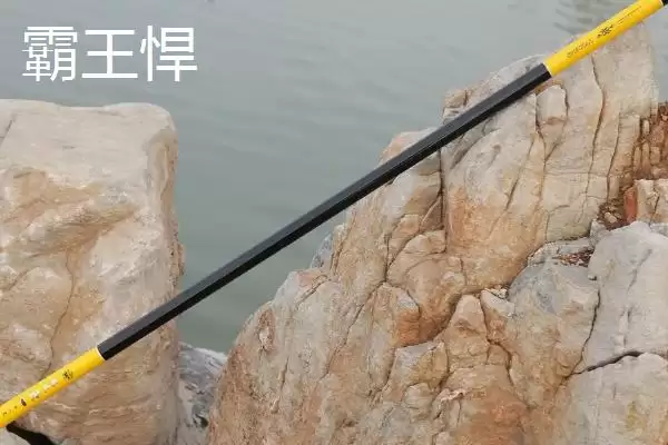 图片[4]-4米5手竿价格(市场上不同品牌4米5手竿的价格区间大概是多少)-会东网