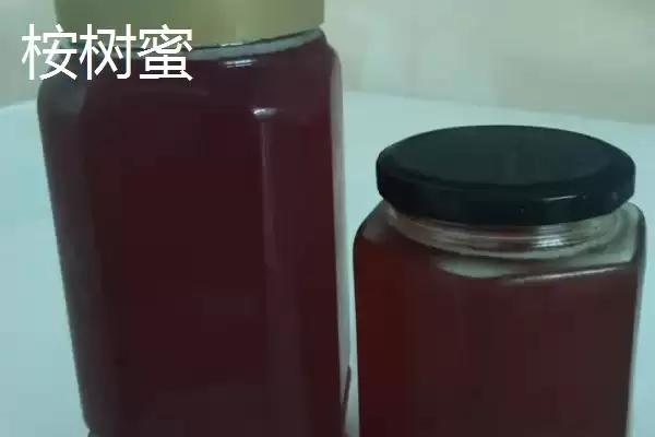 图片[2]-桉树蜜特性(桉树蜜是蜂蜜的一种其特性和口感风味有哪些特点)-会东网