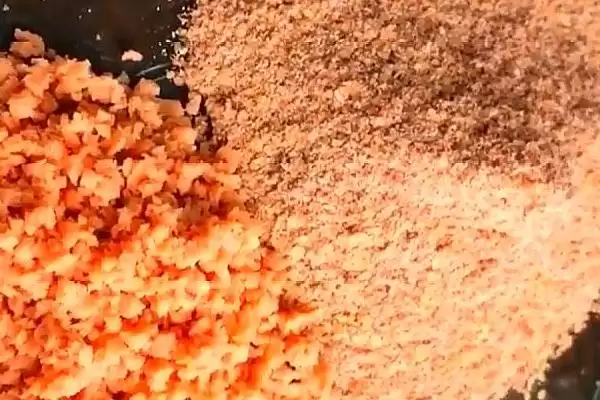 图片[3]-初秋钓鱼用什么味型的饵料(初秋钓鱼用啥味型饵料好呢)-会东网